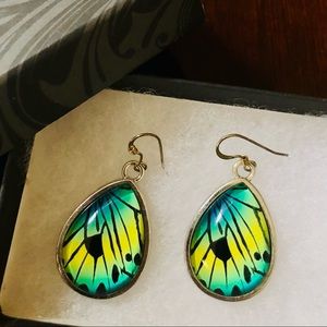 Butterfly earrings